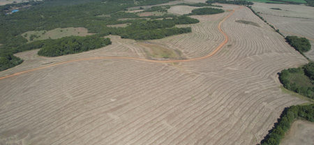 Propriedade com 209 hectares
