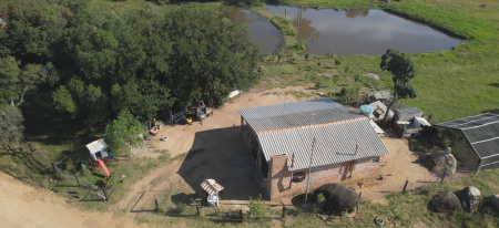 Propriedade com 1 hectare
