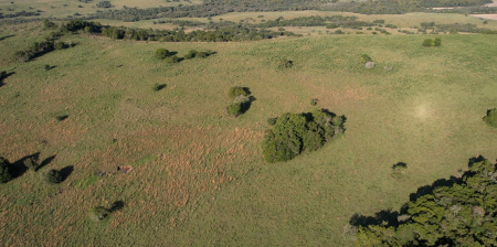 Propriedade com 135 hectares