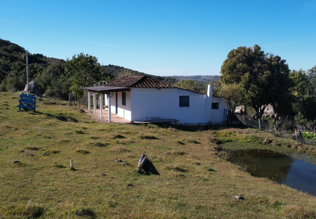 Sítio com 4 hectares