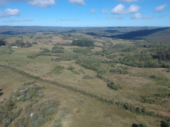 Campo com 10 hectares 