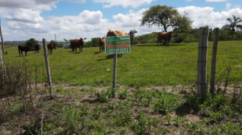 Propriedade de 19 hectares excelente para pecuária