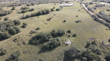 Propriedade bem limpa com 9 hectares, própria para pecuária e agricultura