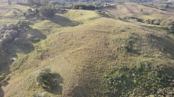 Propriedade com 60 hectares