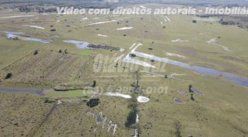 Propriedade com 140 hectares (valor por hectare), campo para pecuária 