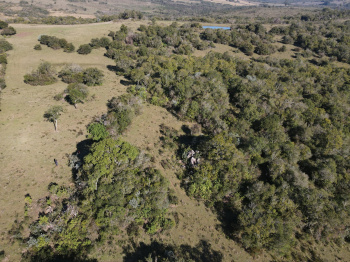 Propriedade com 77 hectares (valor por hectare), própria para pecuária com 75% de aproveitamento para soja