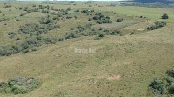 Propriedade com 76 hectares (valor por hectare), para pecuária.