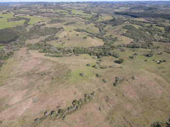 Propriedade com 60 hectares (valor por hectare)