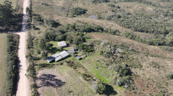 Propriedade com 29 hectares, campo para pecuária