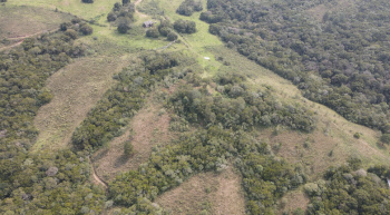 Campo de 199 hectares (valor por hectare) para pecuária e agricultura