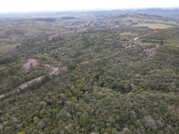 Propriedade com 104 hectares para reflorestamento