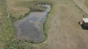 Propriedade com 2 hectares