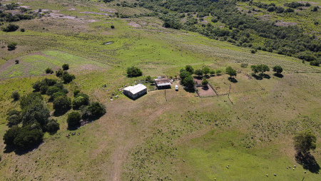 Propriedade com 190 hectares própria para pecuária e reflorestamento