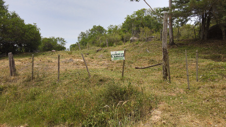 Propriedade com 5 hectares
