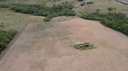 Propriedade com 10 hectares próprio para agricultura