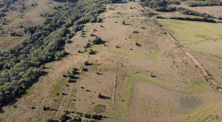 63 hectares, campo misto