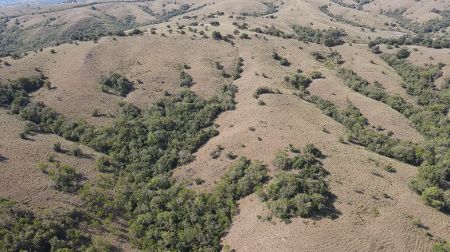 101 hectares próprio para pecuária e reflorestamento