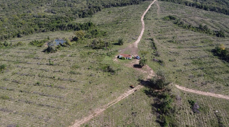 Propriedade com 54 hectares