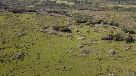 Propriedade de 65 hectares, para pecuária e agricultura