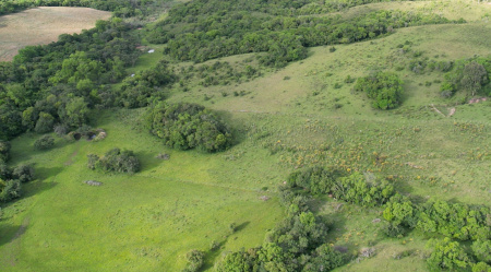 Propriedade com 2,25 hectares