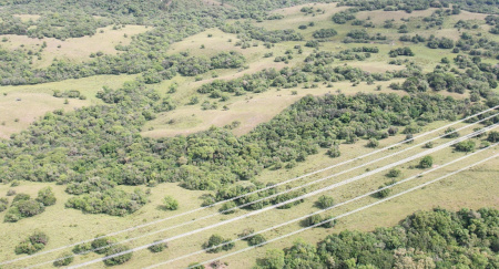 Propriedade com 76 hectares