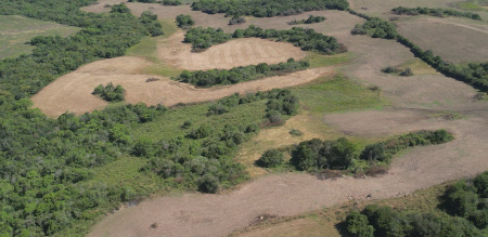 Propriedade com 43 hectares