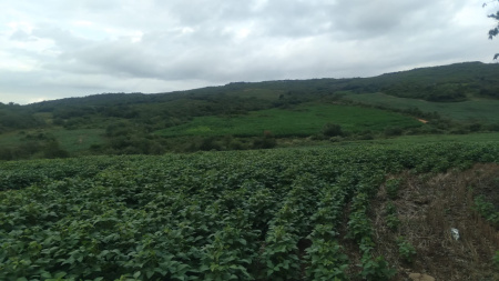 Propriedade Rural