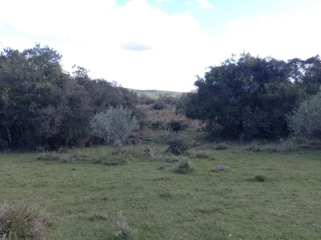 Propriedade Rural 
