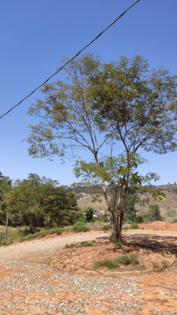 Chacreamento no Paraíso
