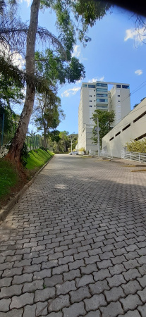 OPORTUNIDADE