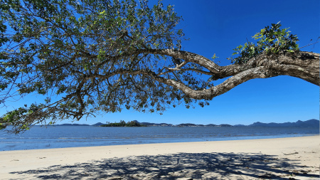Terreno de esquina a 300m do mar na Vila da Glória - 362m²