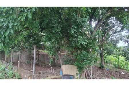 Terreno para Investimento